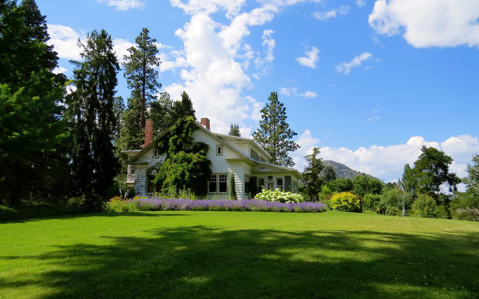 A white house set back on a big lawn, with trees